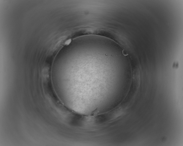 X0000112510127200908241429