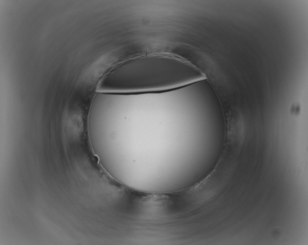 X0000112510128200908241429