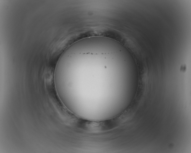 X0000112510129200908241429