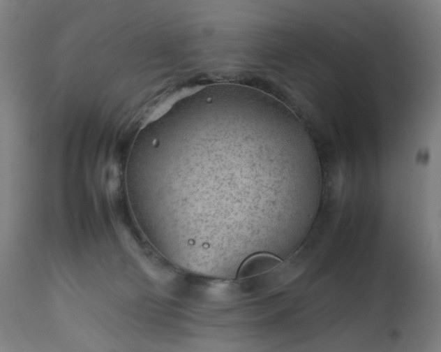 X0000112510130200908241429