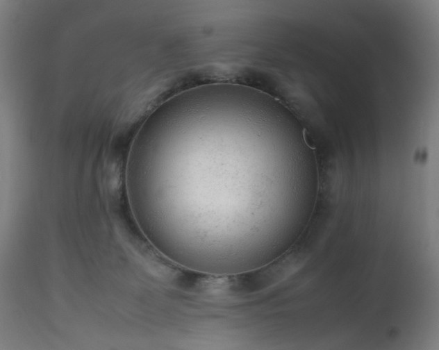 X0000112510131200908241429