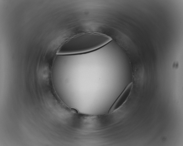 X0000112510132200908241429