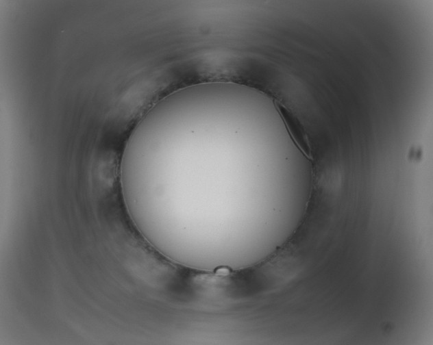 X0000112510133200908241429