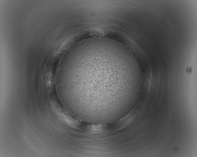 X0000112510134200908241429