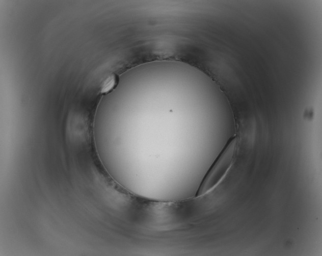 X0000112510136200908241429