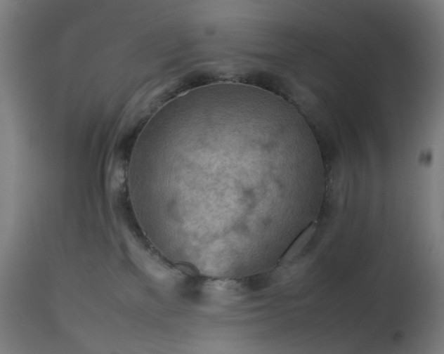 X0000112510137200908241429