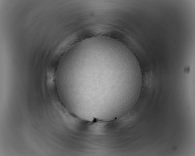 X0000112510138200908241429