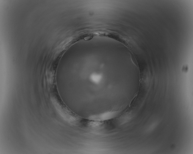 X0000112510139200908241429