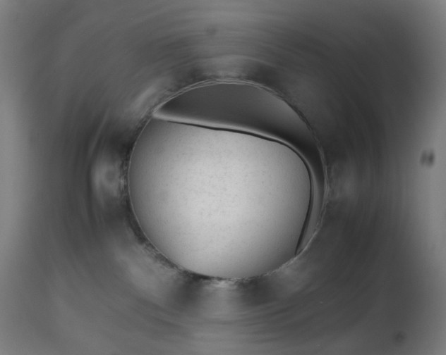 X0000112510140200908241429