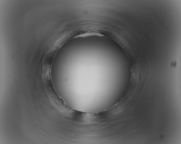 X0000112510141200908241429