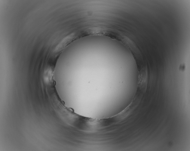 X0000112510142200908241429