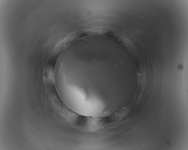 X0000112510143200908241429