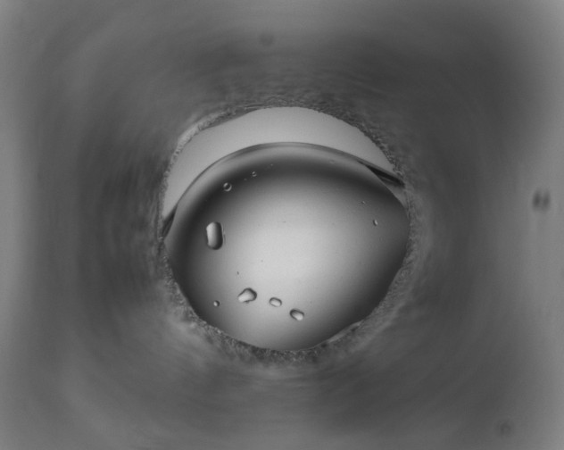 X0000112510144200908241429