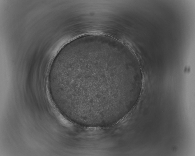 X0000112510145200908241428