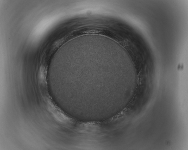 X0000112510146200908241428