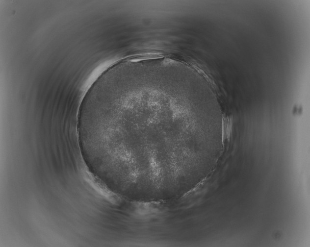 X0000112510147200908241428