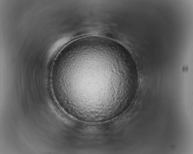 X0000112510149200908241428