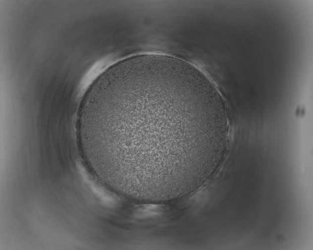 X0000112510151200908241428