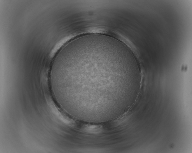 X0000112510155200908241428