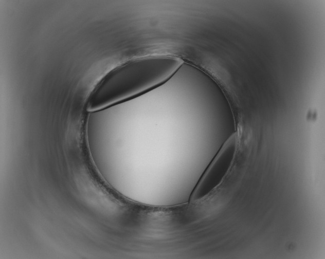 X0000112510156200908241428