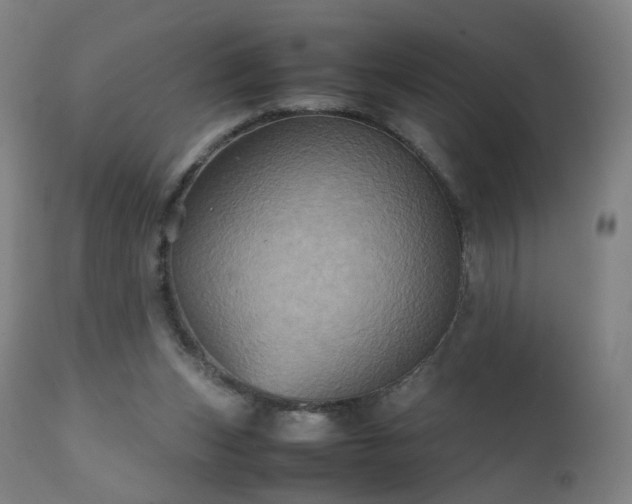 X0000112510159200908241428