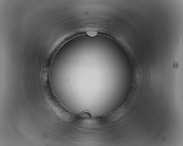 X0000112510160200908241428