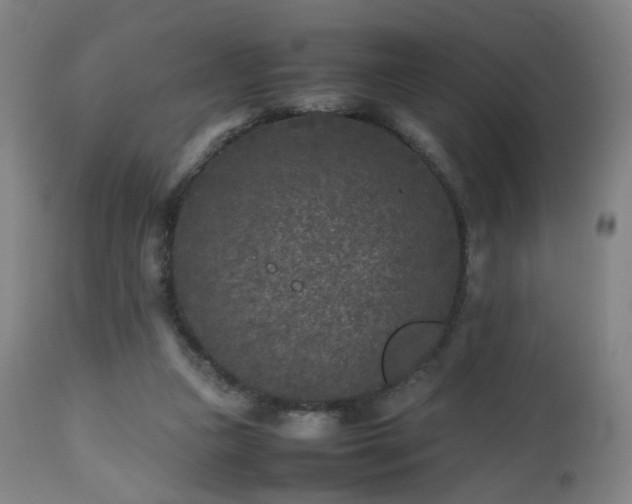 X0000112510161200908241428