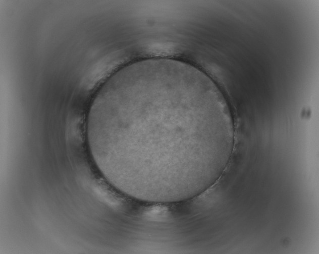 X0000112510162200908241428