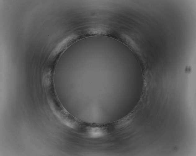 X0000112510163200908241429