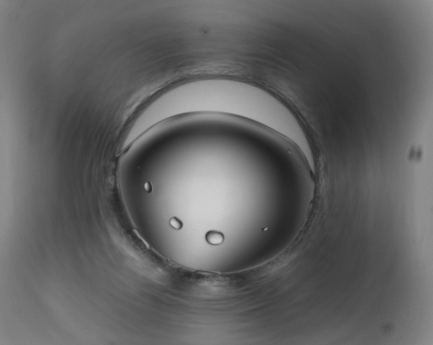 X0000112510164200908241429