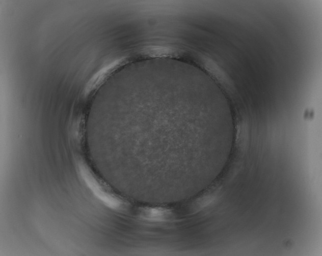 X0000112510165200908241429