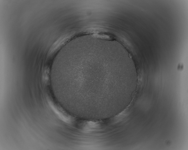 X0000112510166200908241429