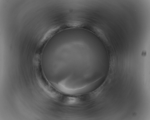 X0000112510167200908241429