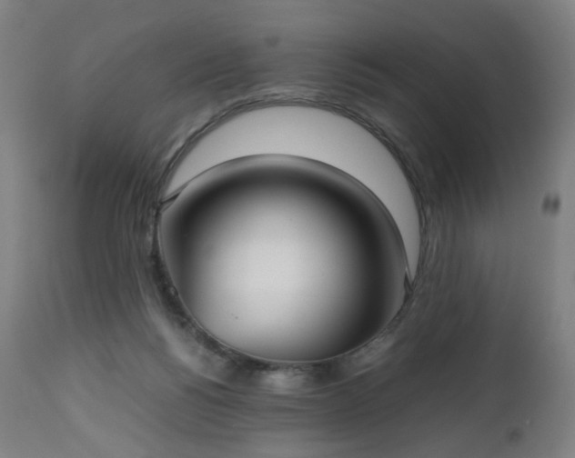 X0000112510168200908241429