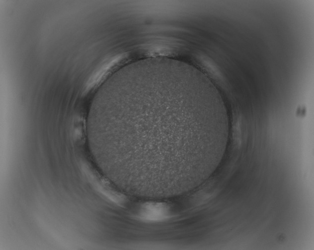 X0000112510169200908241429