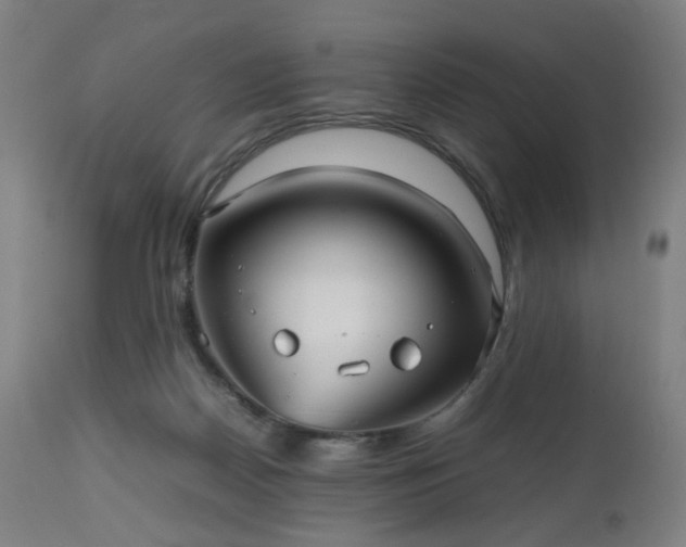 X0000112510170200908241429