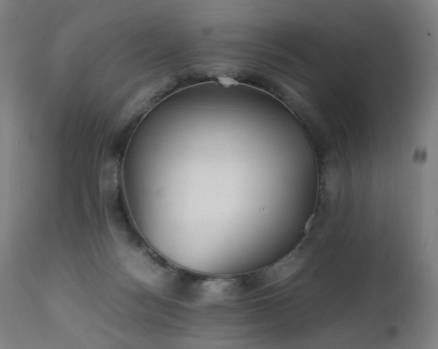 X0000112510172200908241429