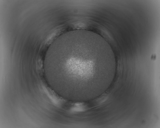 X0000112510173200908241429