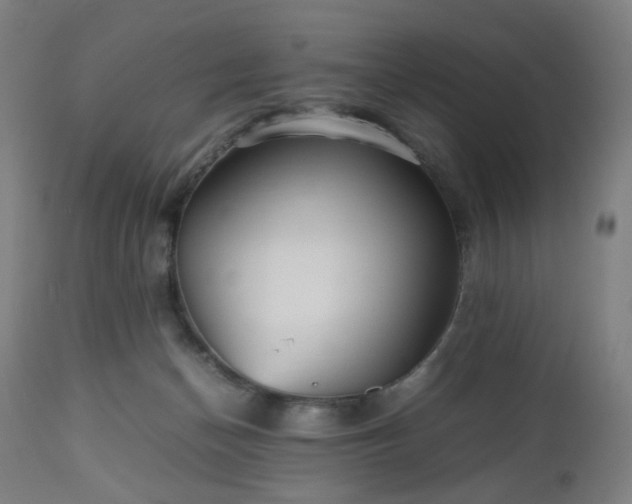 X0000112510174200908241429