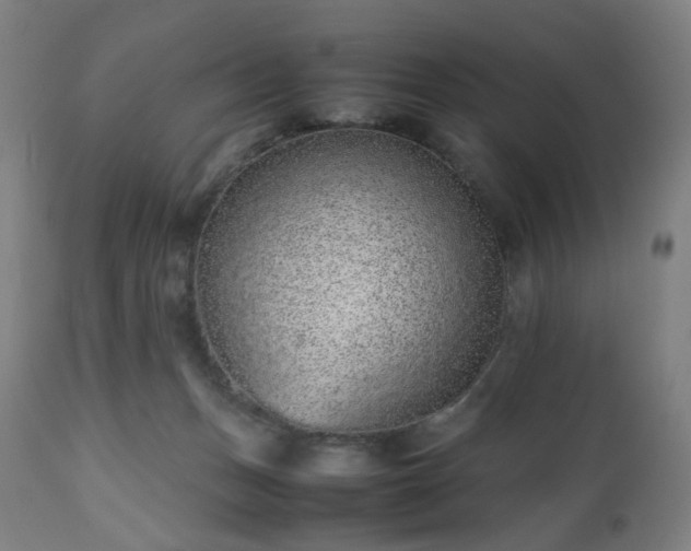 X0000112510175200908241429