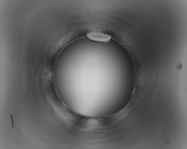 X0000112510176200908241429