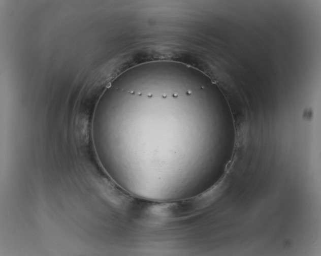 X0000112510178200908241429