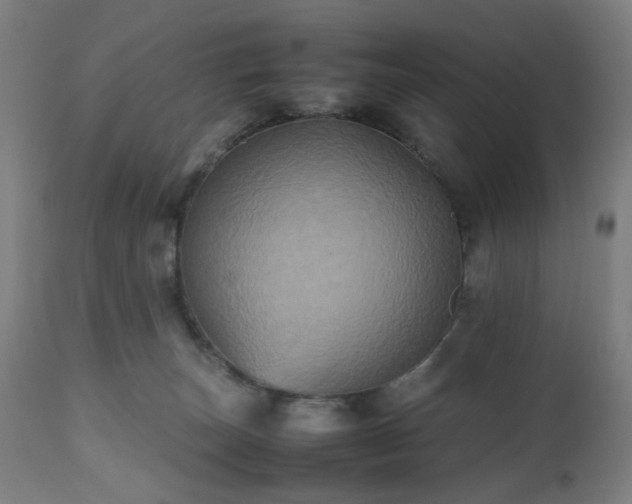 X0000112510179200908241429