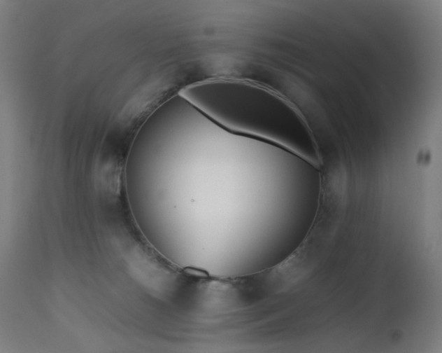 X0000112510180200908241429