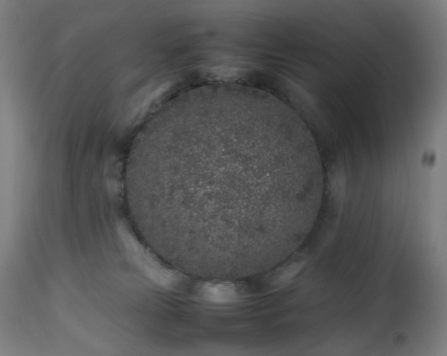 X0000112510181200908241429