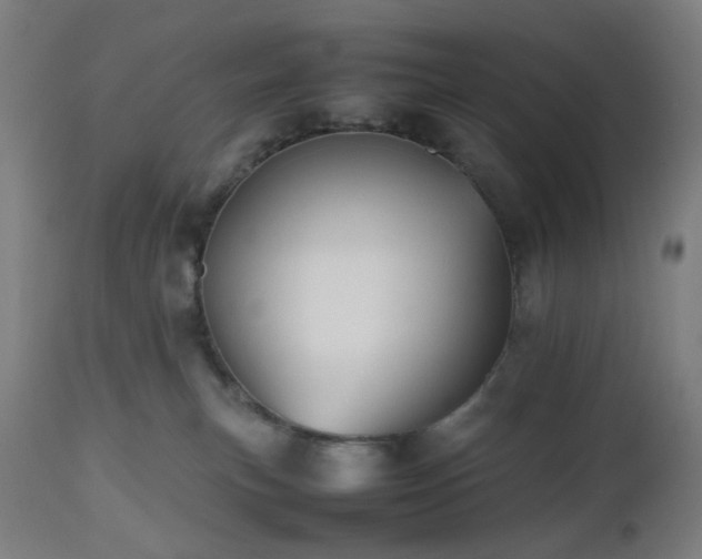 X0000112510183200908241429