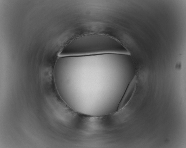 X0000112510184200908241429