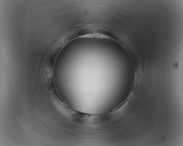 X0000112510186200908241429