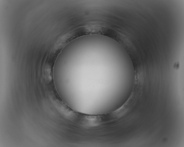 X0000112510187200908241429