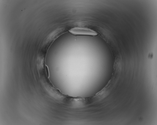 X0000112510188200908241429